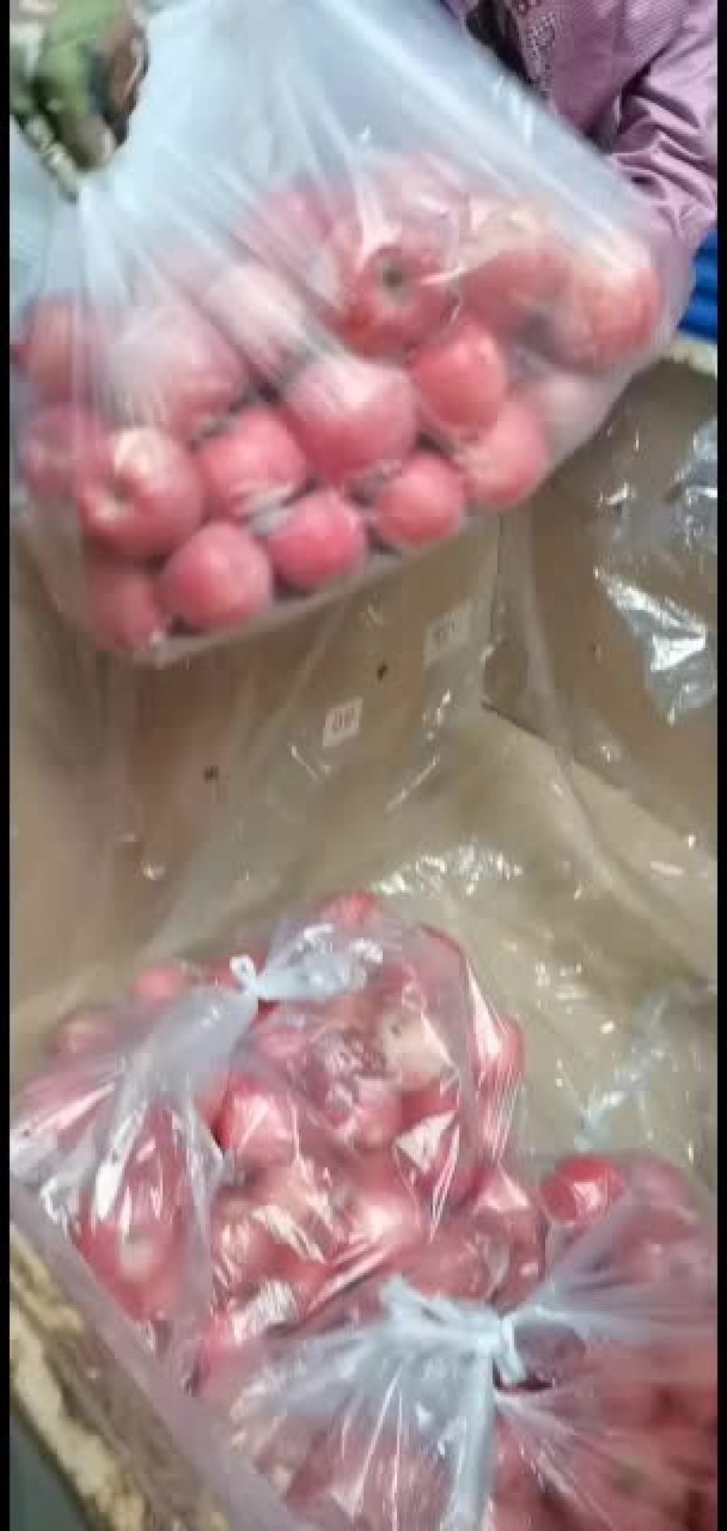 纸袋富士苹果纸加膜富士膜袋富士大量出库价格合理