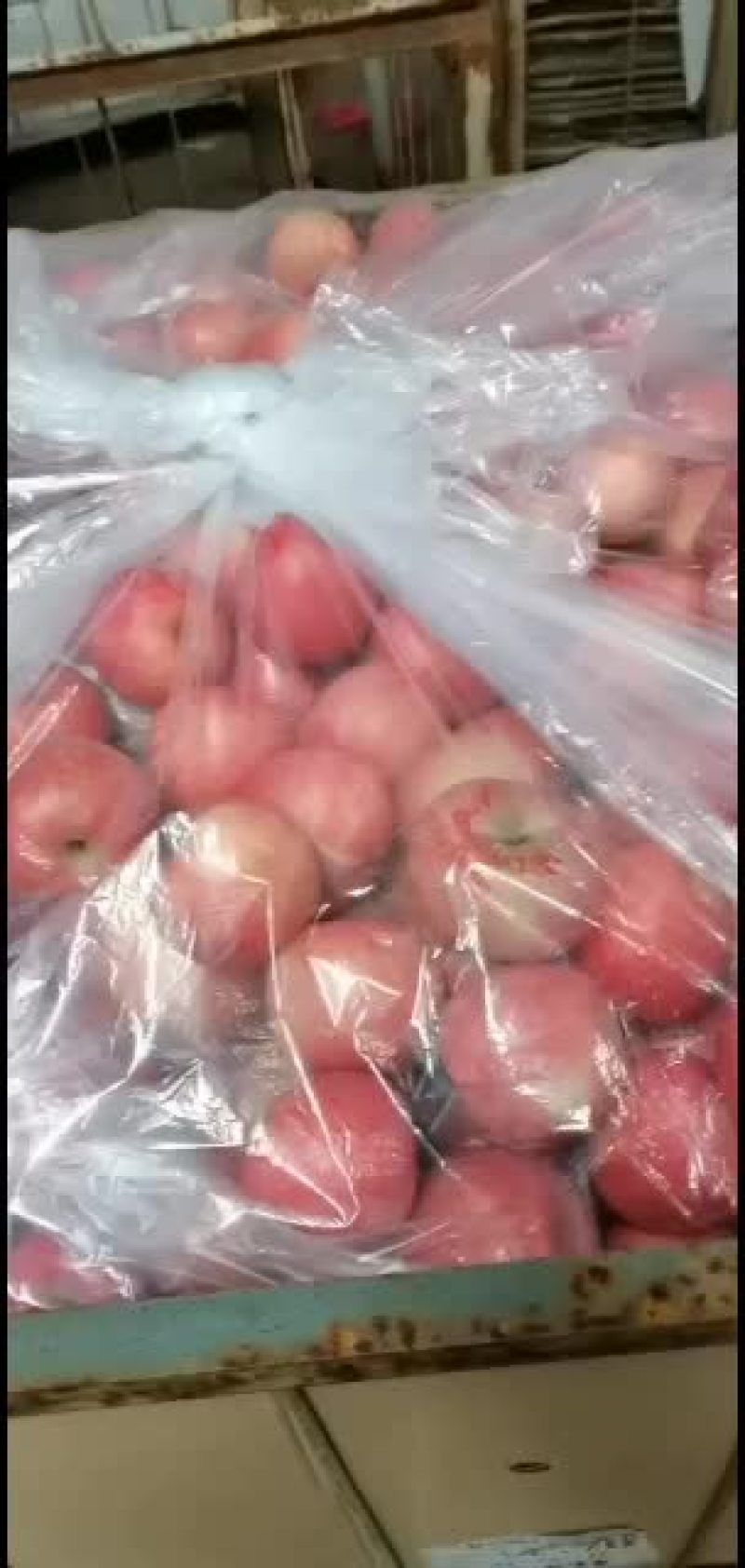 纸加膜富士苹果，纯纸袋富士，纸袋高次，纸加膜高次