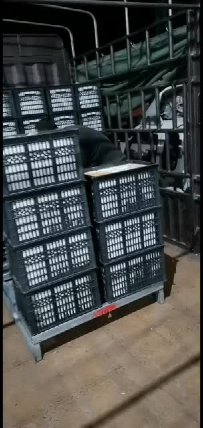 纸加膜富士苹果，纯纸袋富士，纸袋高次，纸加膜高次