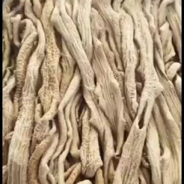 牛小肠散带，厂家直销，看质量！
