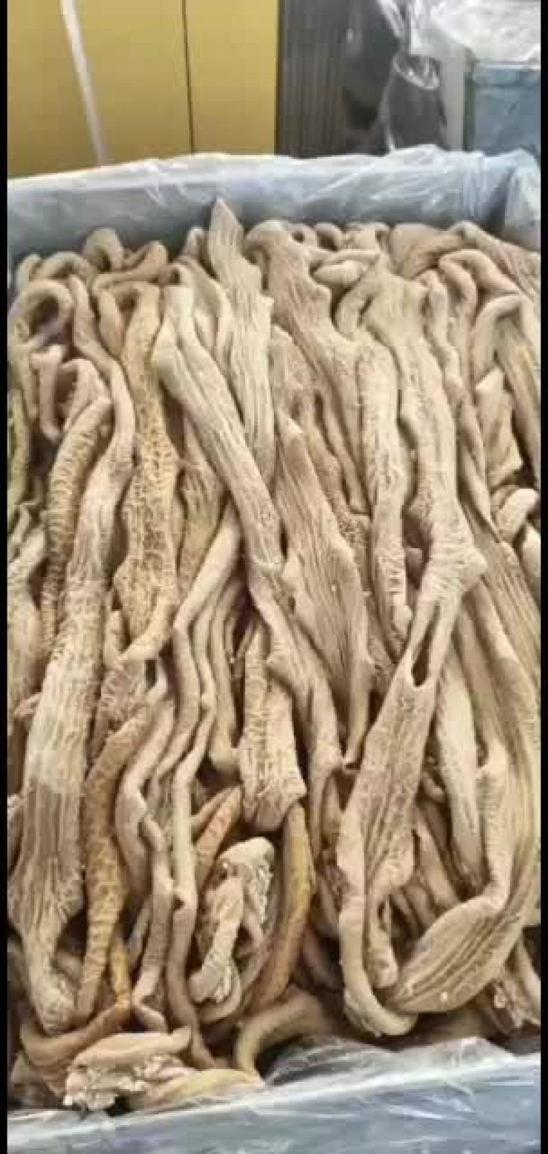 牛小肠散带，厂家直销，看质量！