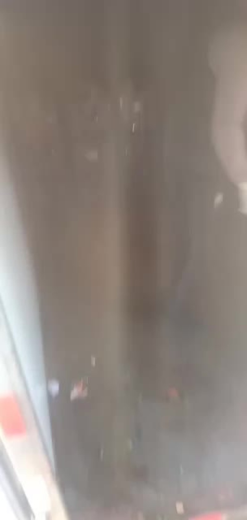 沙糖桔产地一手没有中间商