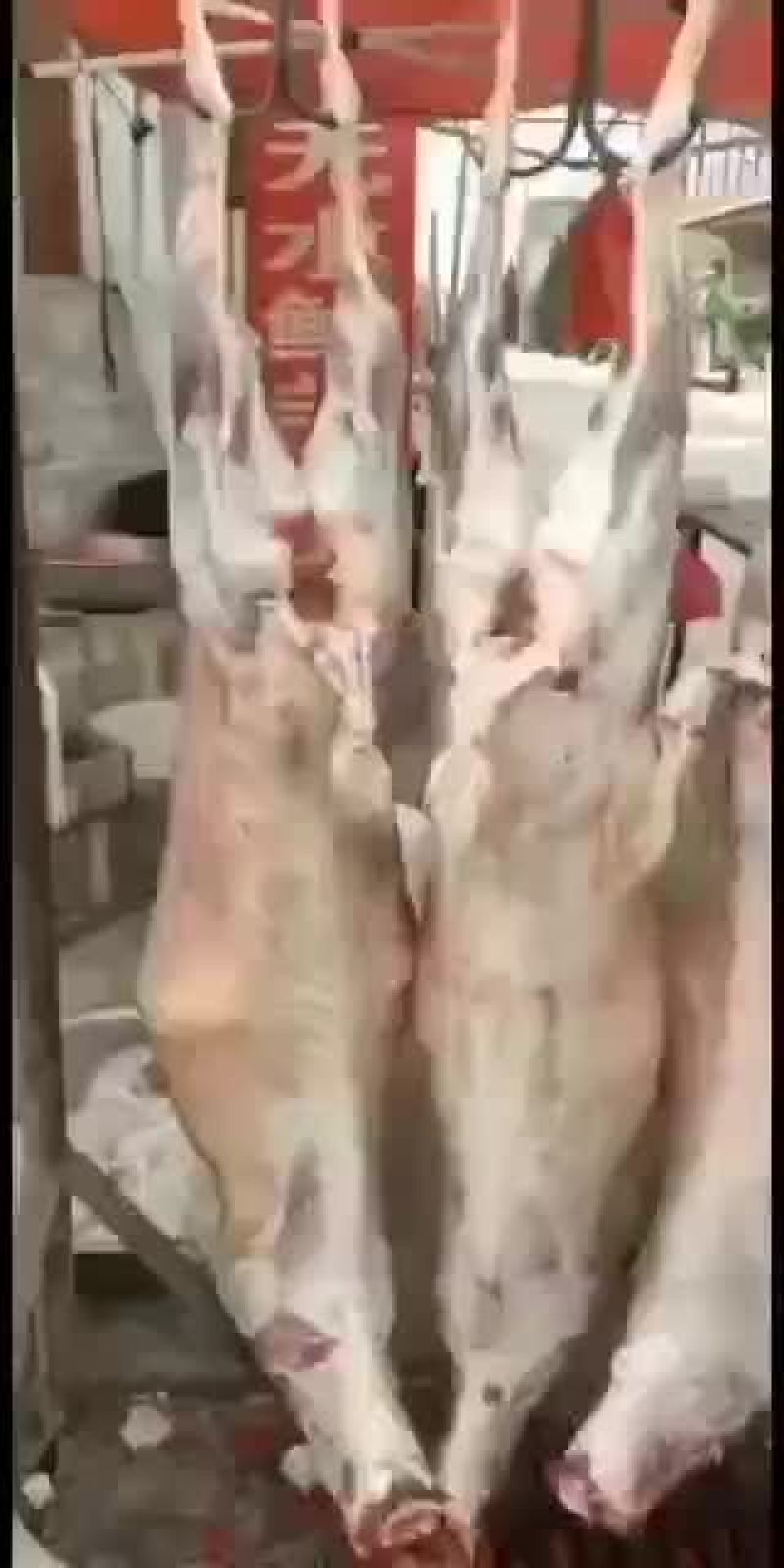 剔骨羊肉，白条羊，羊酮体，鲜货，量大，长年有货