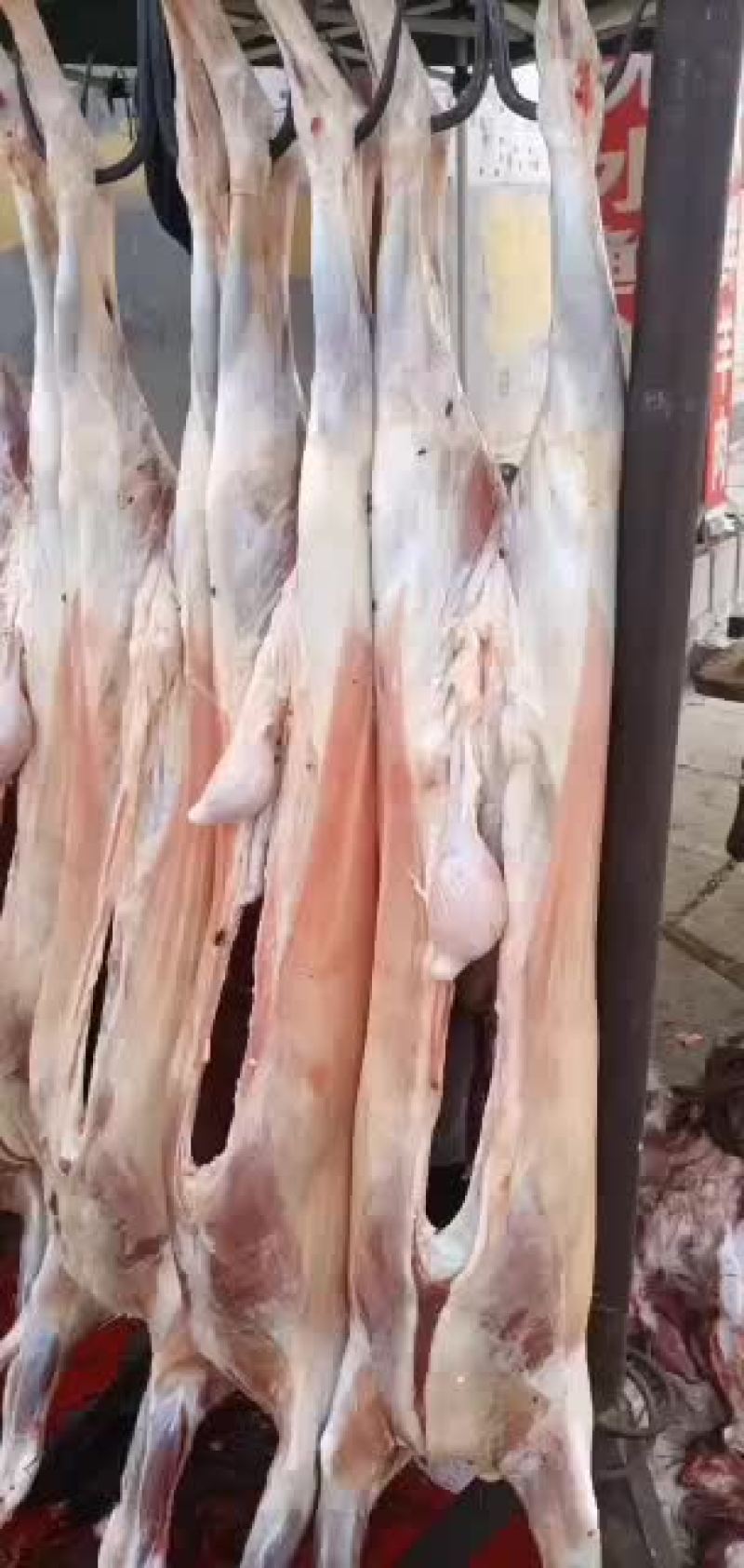 剔骨羊肉，白条羊，羊酮体，鲜货，量大，长年有货