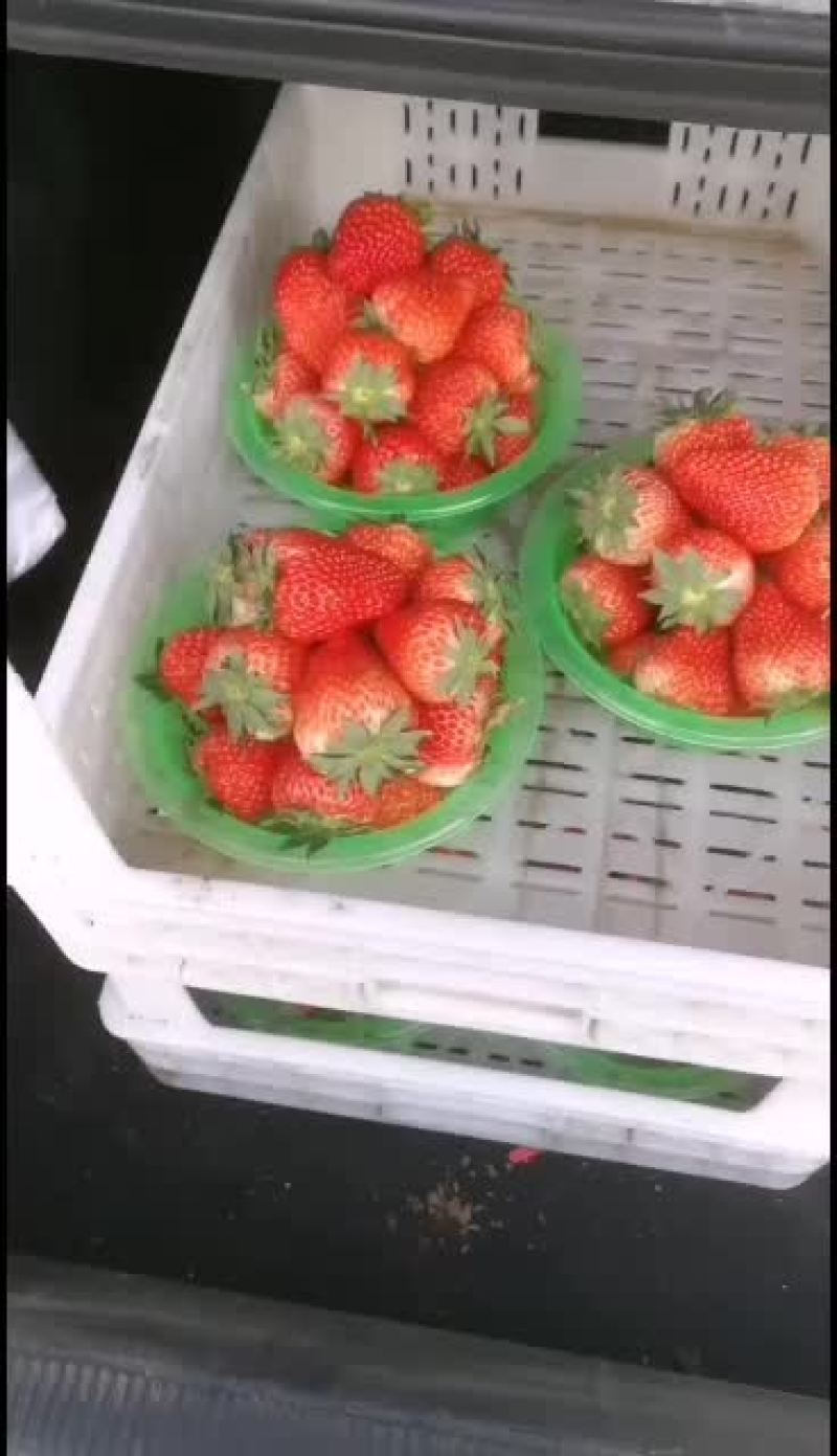 红颜草莓一等品质口感好