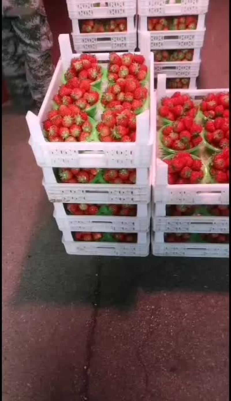 红颜草莓一等品质口感好