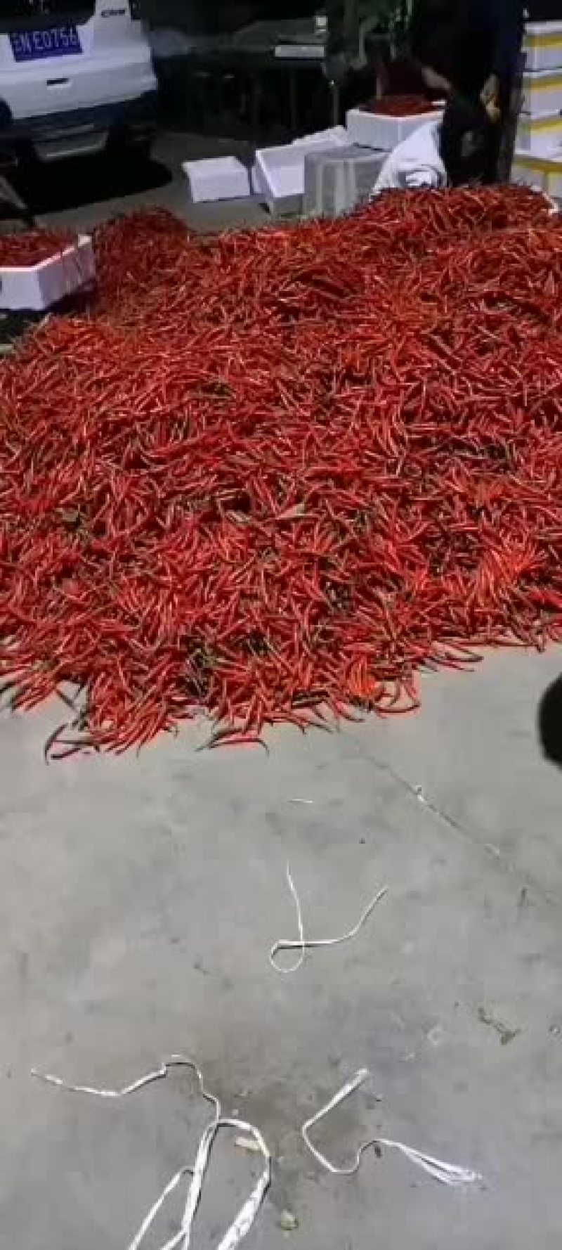 小米辣，今年价格好，有需要的嘛