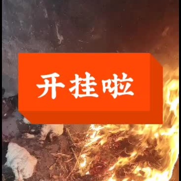 嘉祥县洪昆青山羊繁殖基地