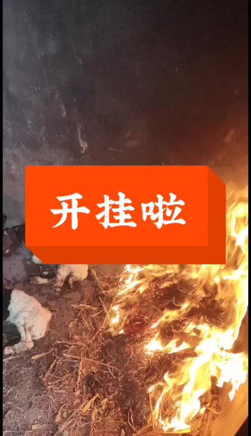嘉祥县洪昆青山羊繁殖基地