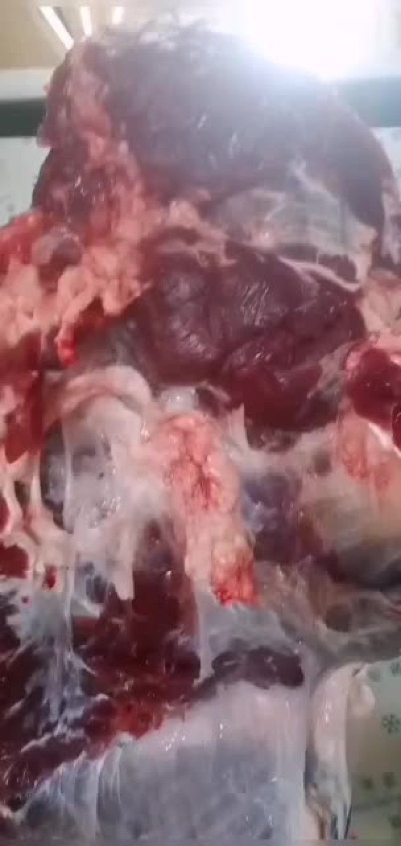 纯干，国产鲜牛肉，现宰直发量大的老板来全国各地接单