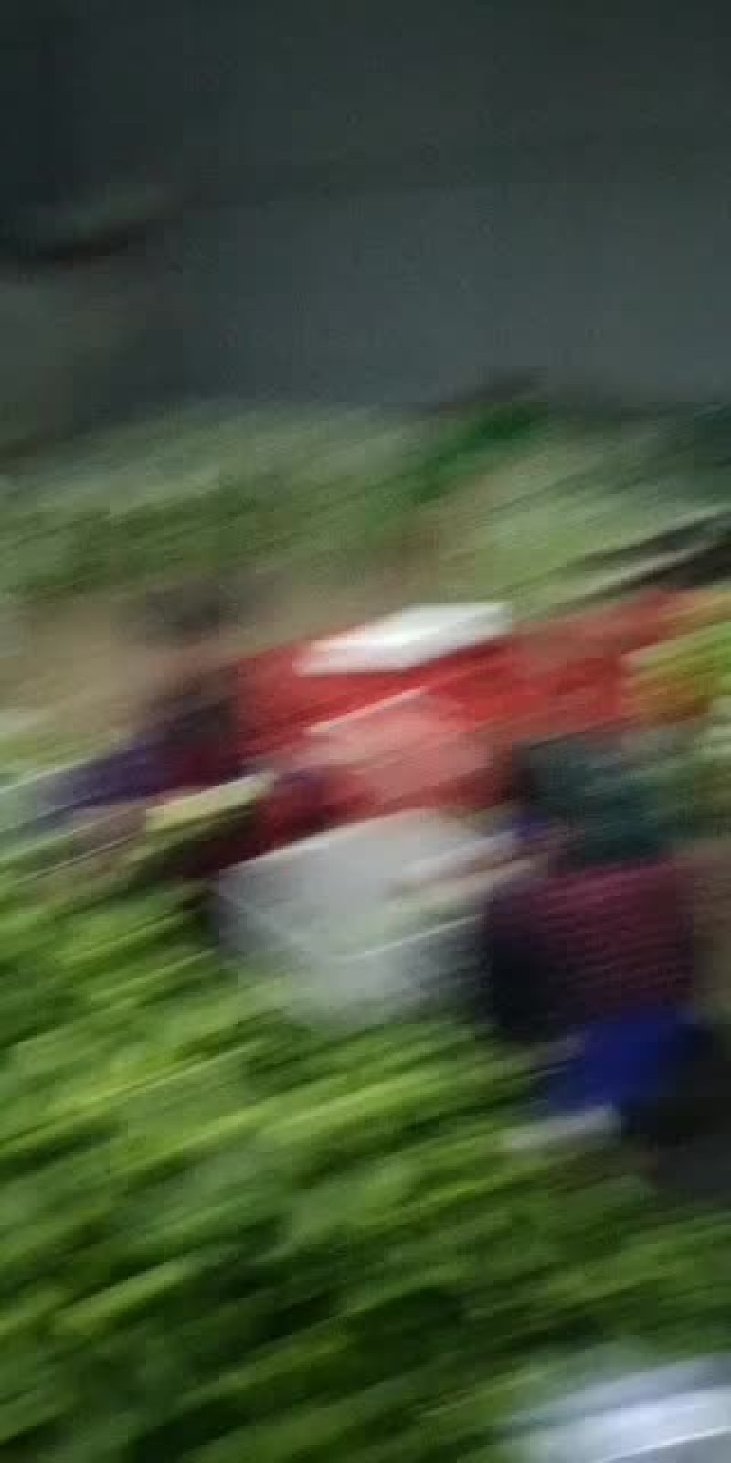 上海青各类蔬菜代收
