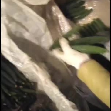大荔黄瓜大量上市欢迎采购