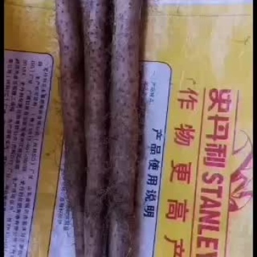 白玉山药好吃面。货源充足。大货，小货。佛手