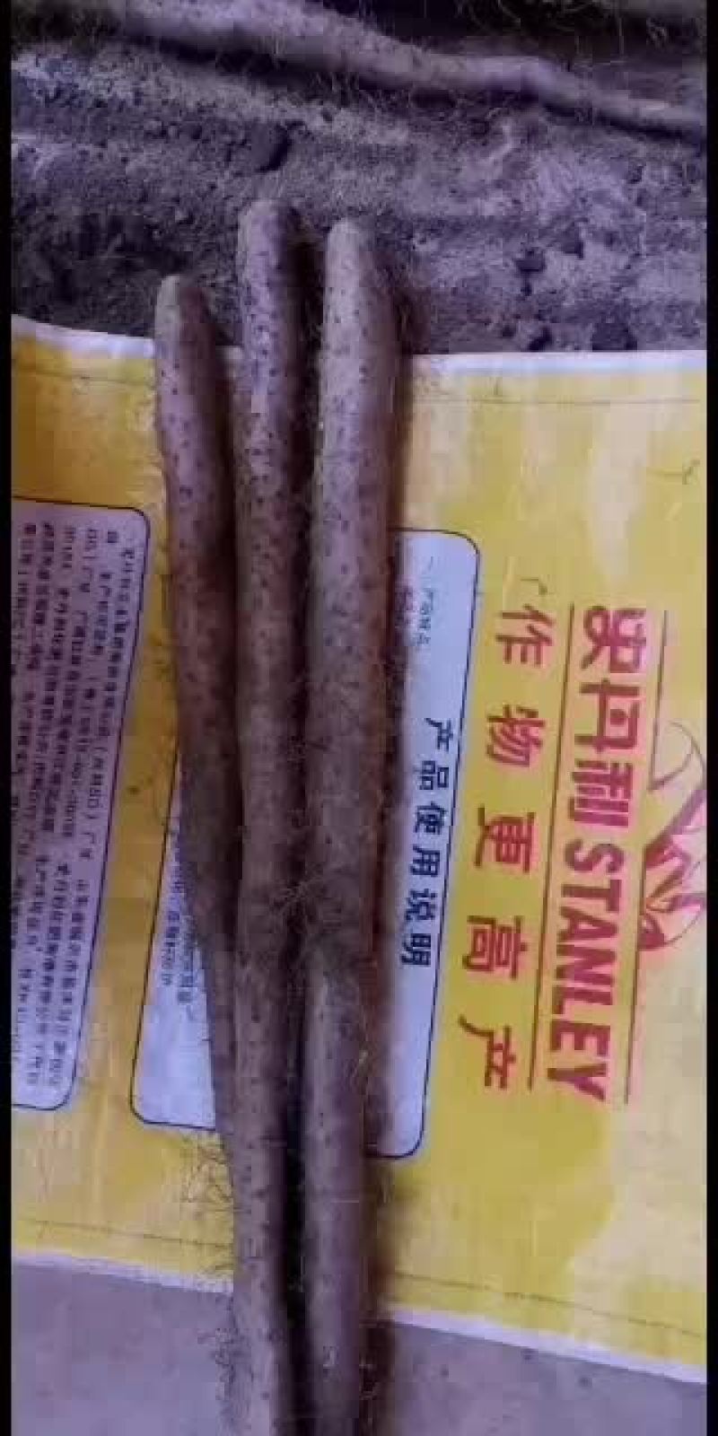 白玉山药好吃面。货源充足。大货，小货。佛手