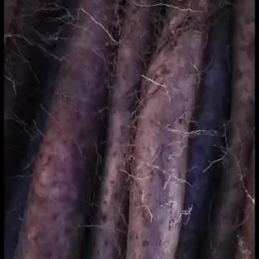 白玉山药。大货，小货，佛手。大量现货