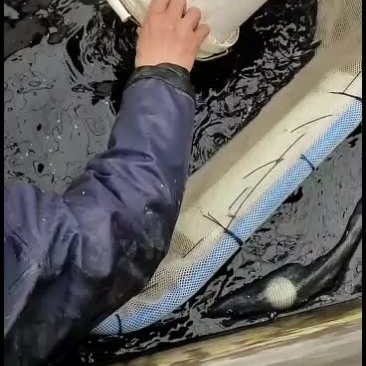 优质鲈鱼苗，工厂化标苗