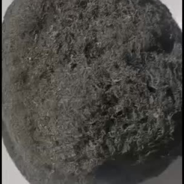 宁夏中宁野生发菜！纯野生！质量杠杠的！欢迎批发