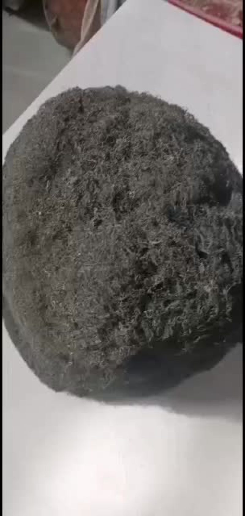 宁夏中宁野生发菜！纯野生！质量杠杠的！欢迎批发