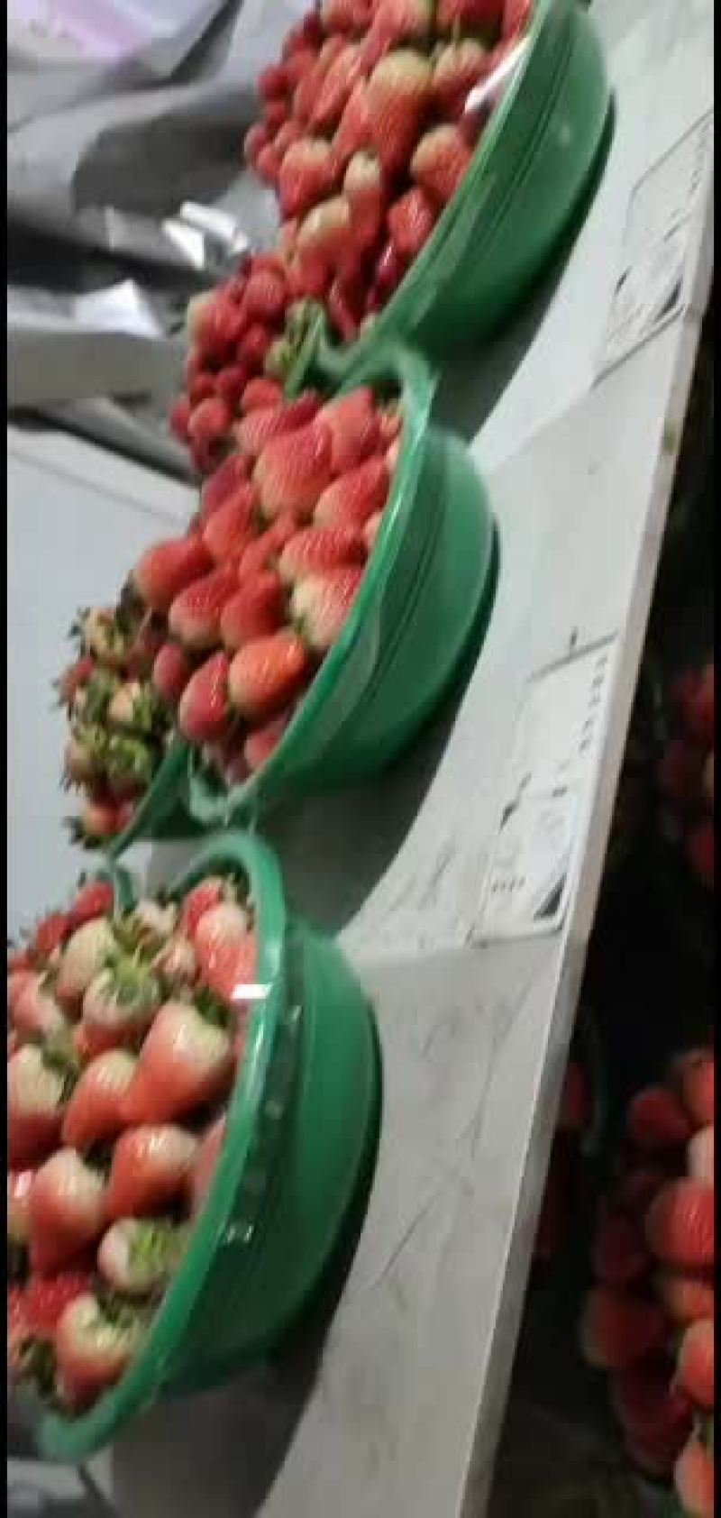 章姬奶油草莓多年种植经验共赢