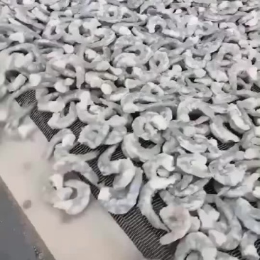 干冰虾仁原料虾仁20斤