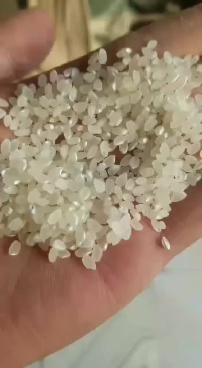 大米，正宗原阳大米，，，，