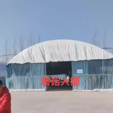 蘑菇大棚，拱杆采用椭圆管骨架，扛压力，使用年限久
