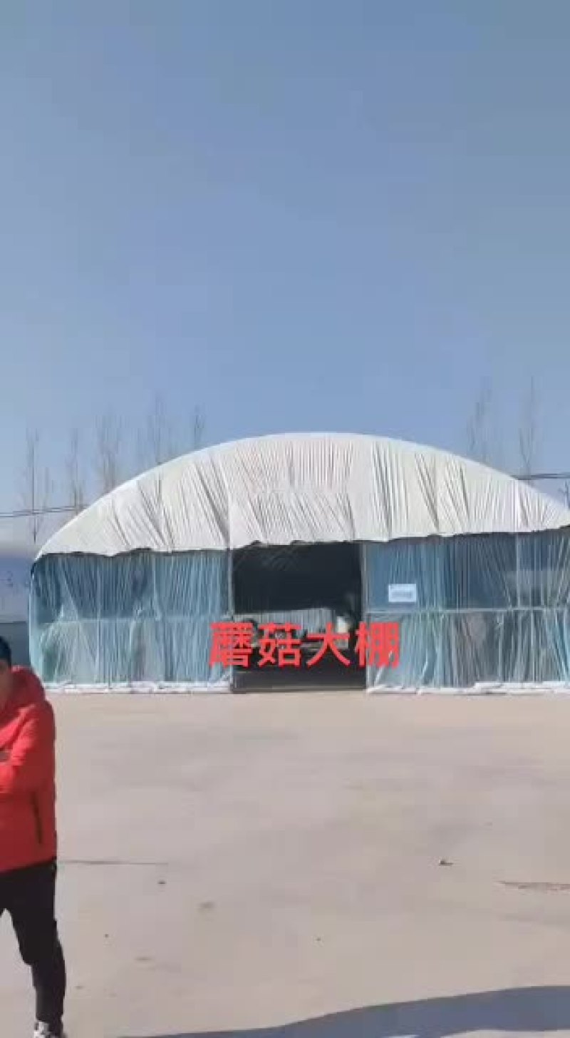 蘑菇大棚，拱杆采用椭圆管骨架，扛压力，使用年限久
