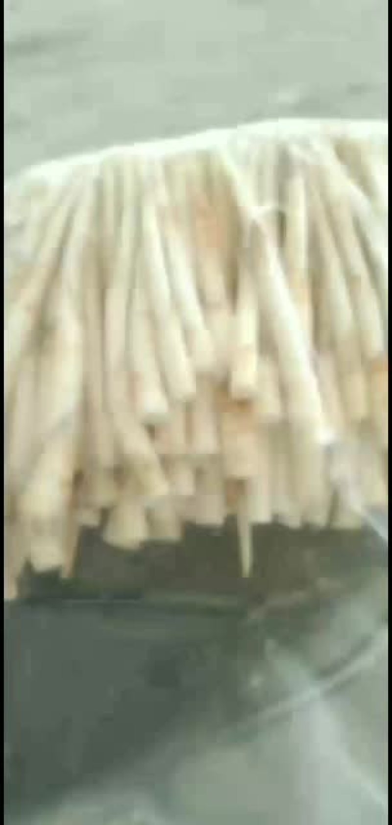 象牙菜。又叫草牙。云南。