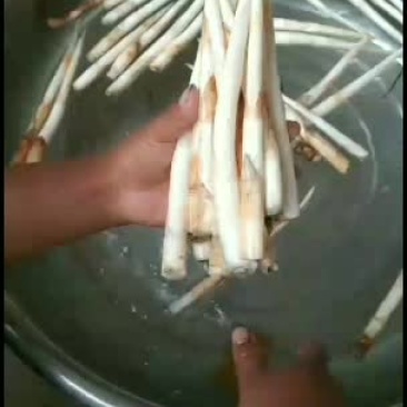 象牙菜。又叫草牙。云南。