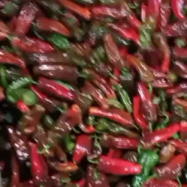 精品花椒，需要的联系！一次合作，终身朋友!