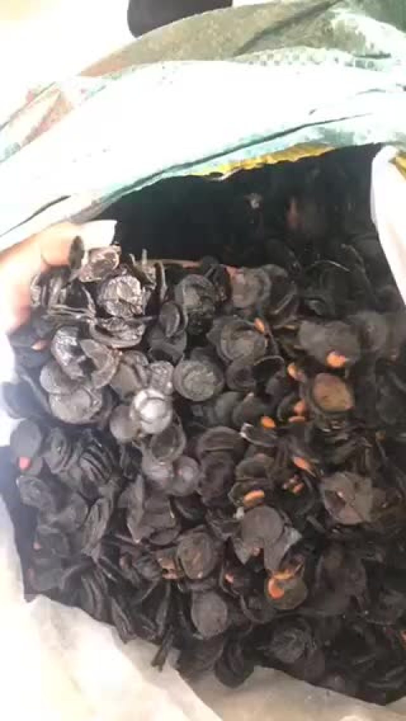 便秘果片深加工产品好货多多，需要的老板欢迎来电咨询洽谈。