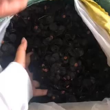 便秘果片深加工产品好货多多，需要的老板欢迎来电咨询洽谈。