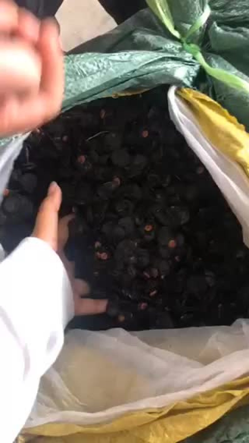 便秘果片深加工产品好货多多，需要的老板欢迎来电咨询洽谈。