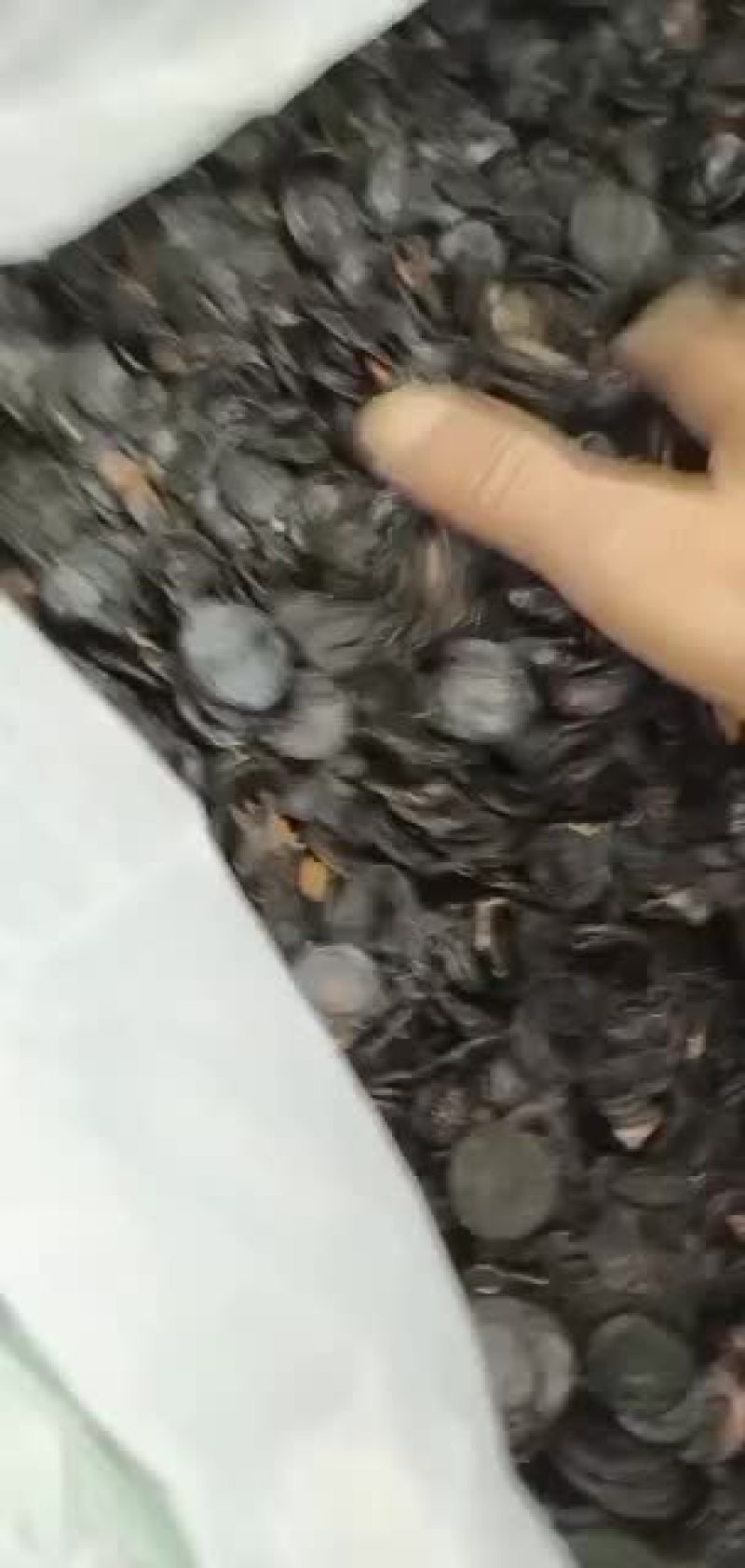 便秘果片深加工产品好货多多，需要的老板欢迎来电咨询洽谈。