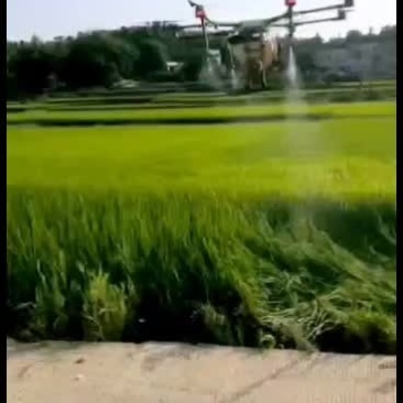 农作物病虫害防治无人机喷洒农药无人机飞防