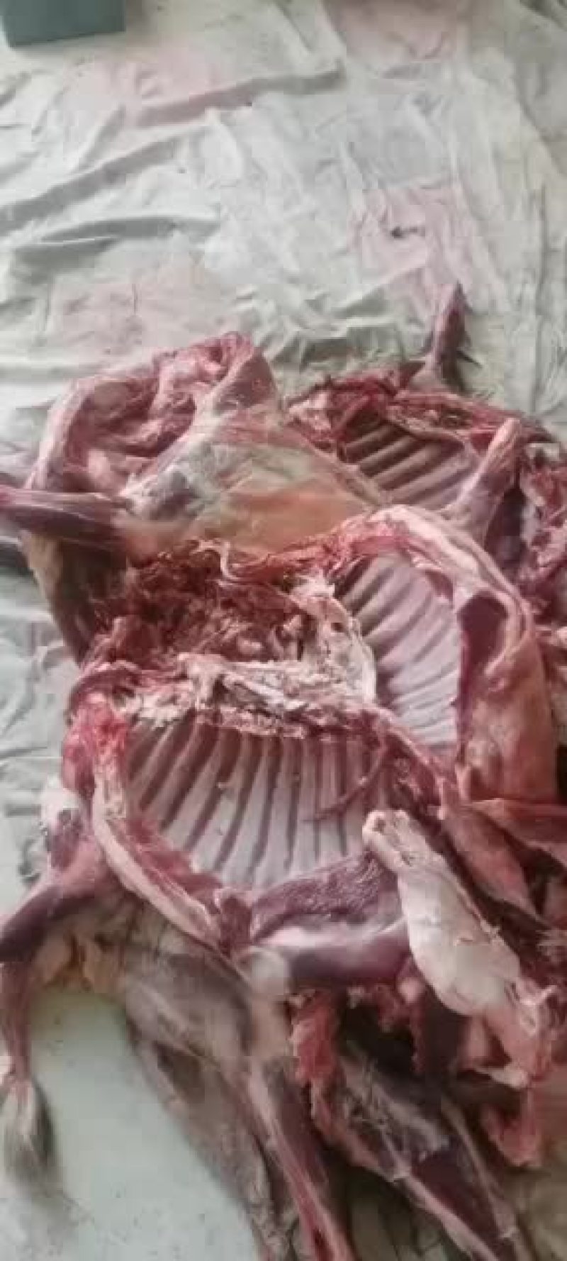 羊白条，鲜羊肉，纯干无水。全国配送，需要的联系