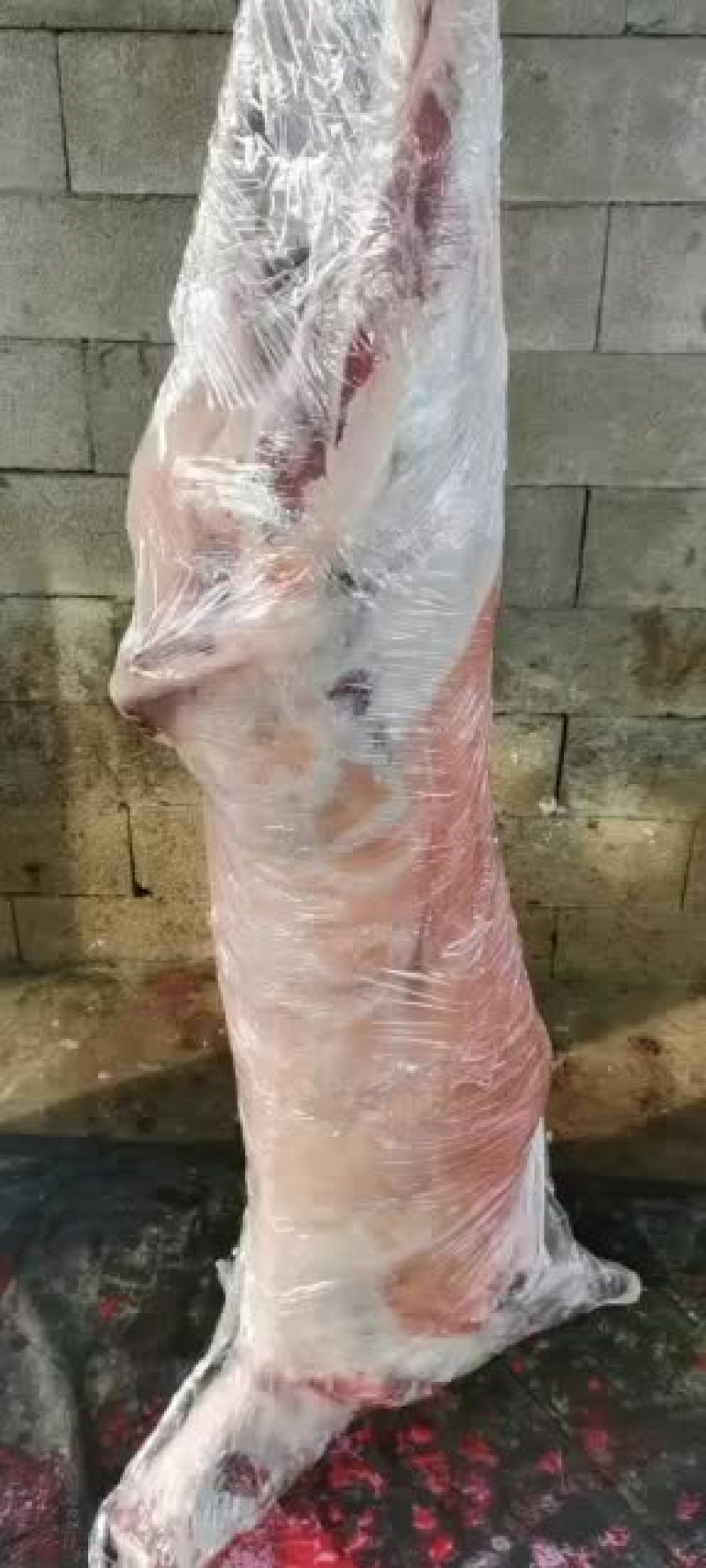 羊白条，鲜羊肉，纯干无水。全国配送，需要的联系