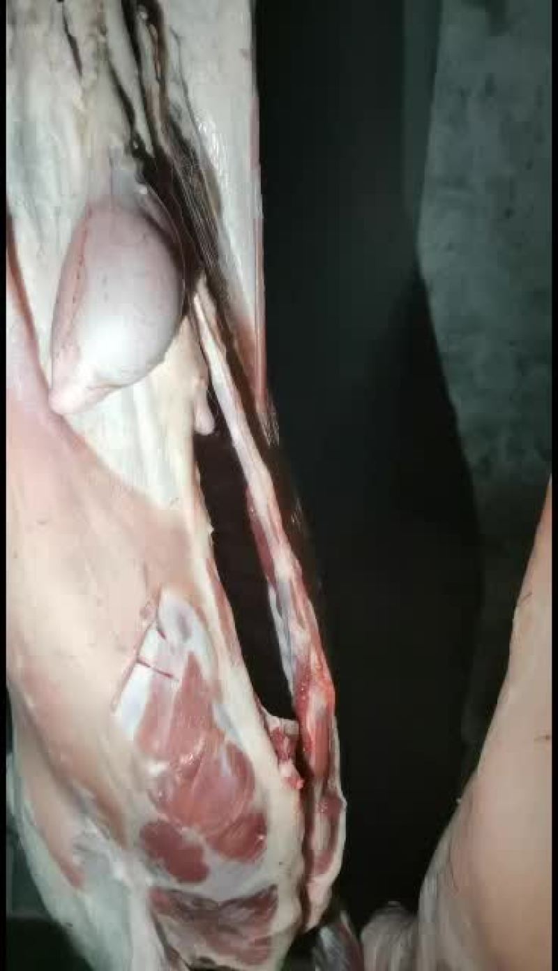 羊白条，鲜羊肉，纯干无水。全国配送，需要的联系