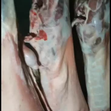 羊白条，鲜羊肉，纯干无水。全国配送，需要的联系