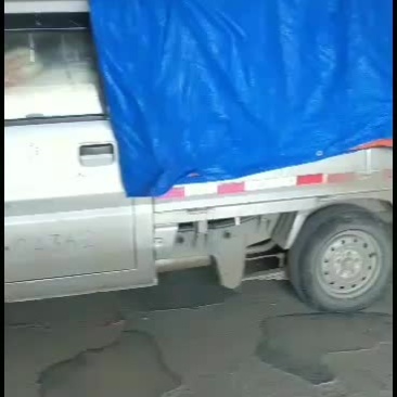 纯手工制作土豆粉条欢迎订购