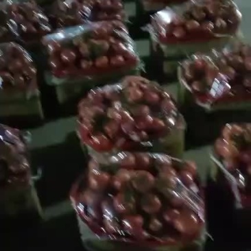 西红柿大量走货，每天都可供应