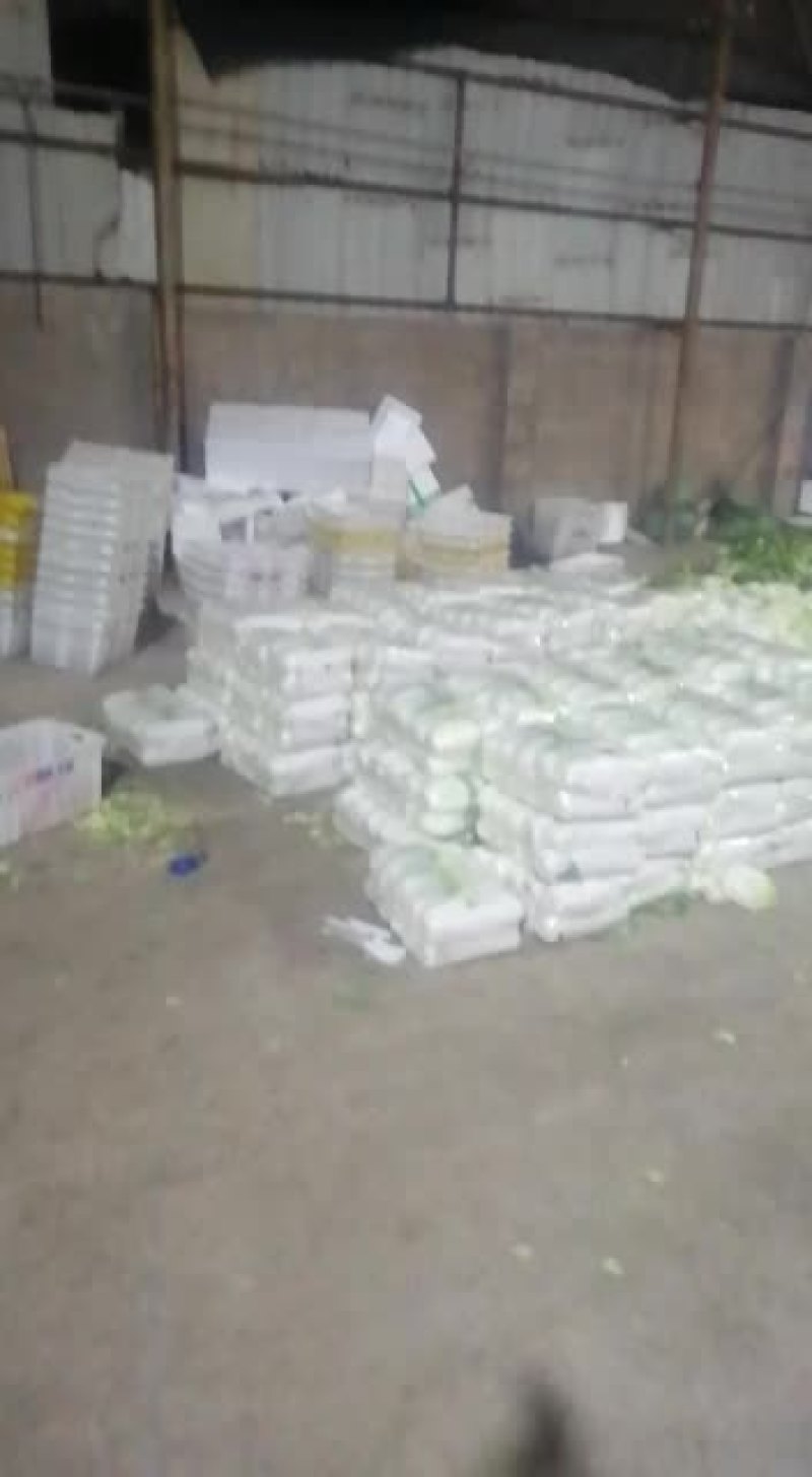 大白菜打包中云南气温下降全部蔬菜都涨价欢迎选购