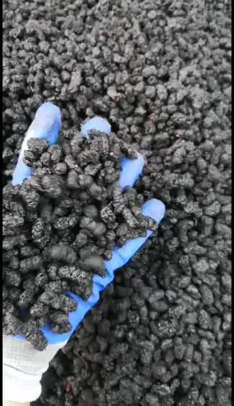 人工水洗，太阳晾晒，高质量桑葚干