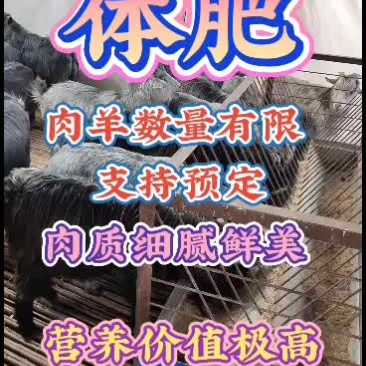 嘉祥县洪昆牛羊养殖场