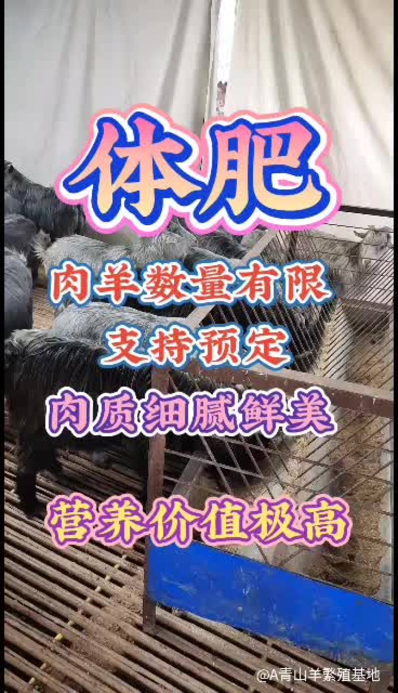 嘉祥县洪昆牛羊养殖场