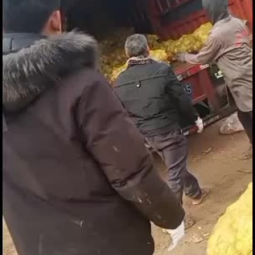四川榨菜大量有货有需要的老板随时联系