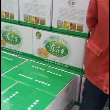 宁夏盐池县惠安堡贺家泉黄花菜