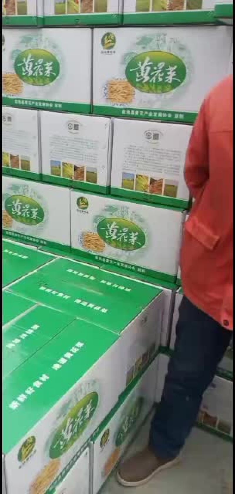 宁夏盐池县惠安堡贺家泉黄花菜