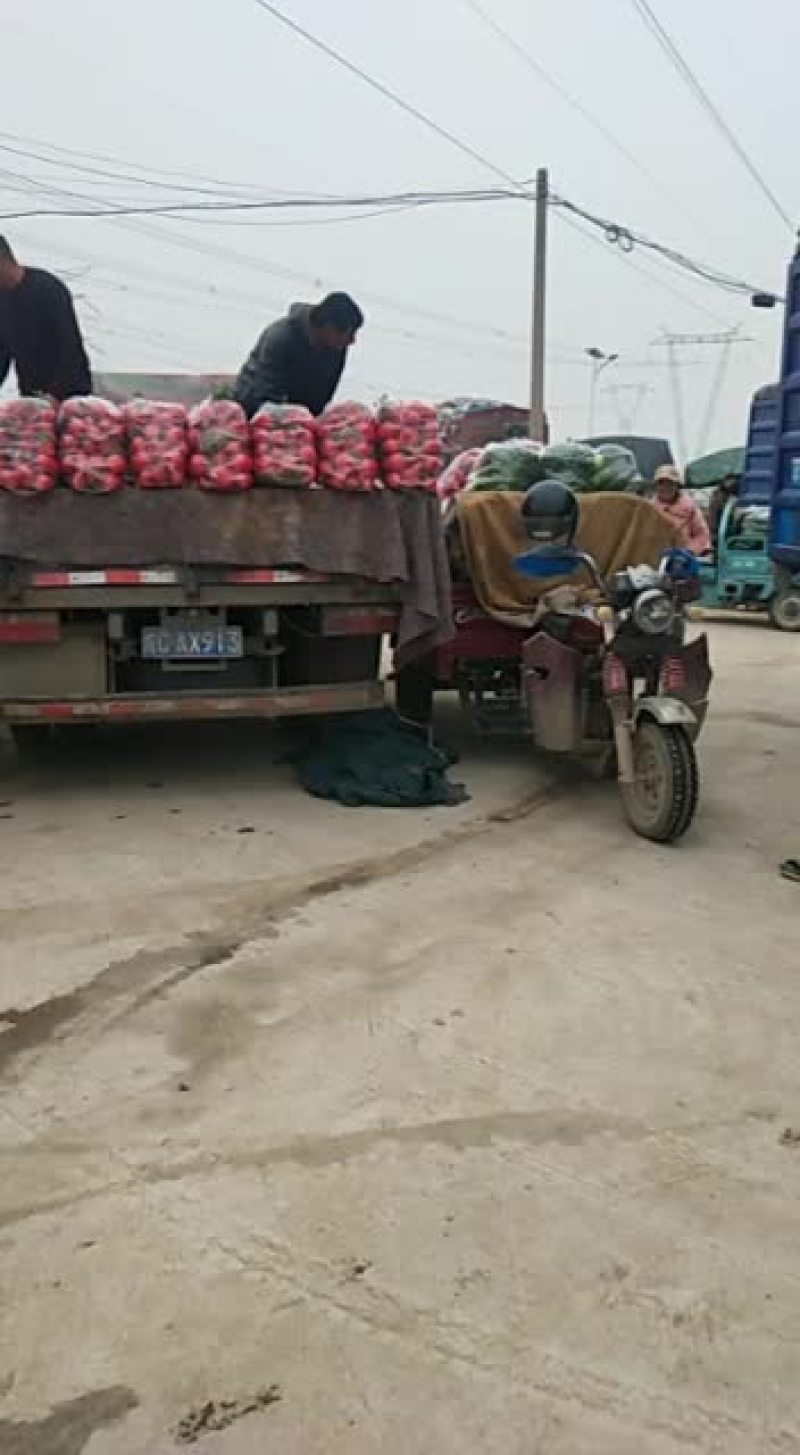 各种蔬菜，需要的请与联系