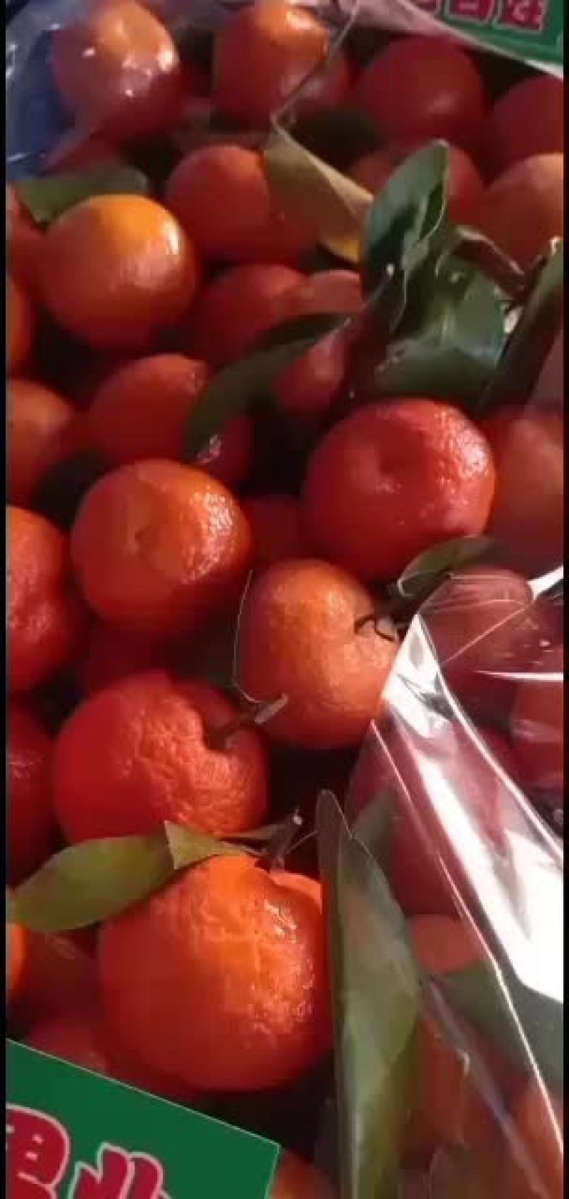 专业代办南丰砂糖橘，